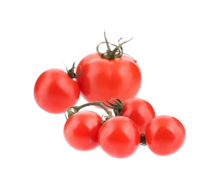 Close up of fresh tomatoes. Isolated on a white background.
