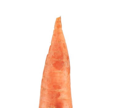 Fresh carrot. Isolated on a white background