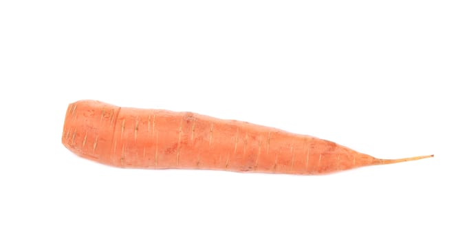 Fresh carrot. Isolated on a white background