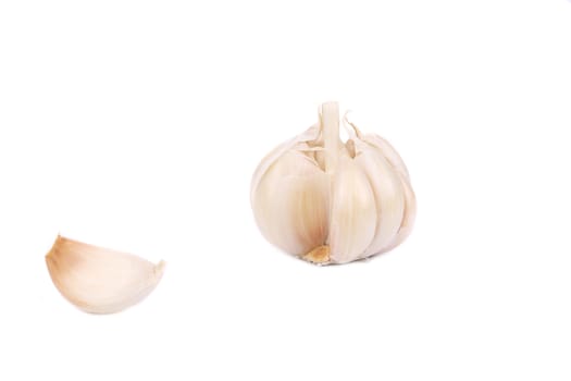 Garlic bulb. Isolated on a white background.