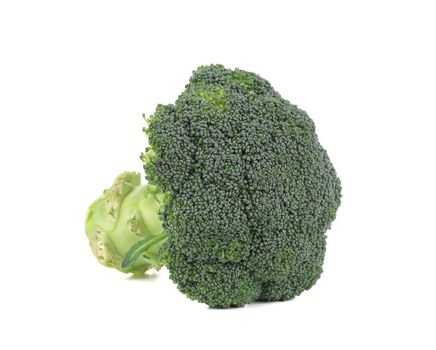 Fresh broccoli. Isolated on a white background.