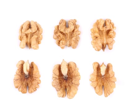 Close up of walnut kernels. Isolated on a white background.