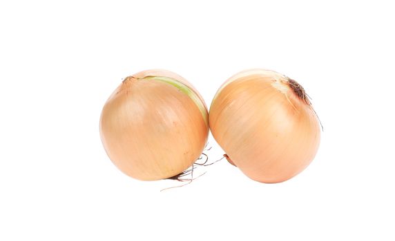 Two ripe onions. Isolated on a white background.