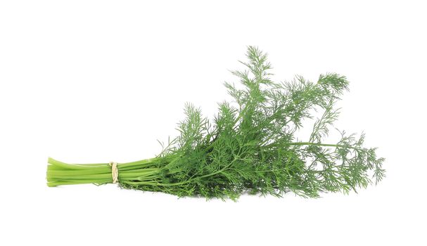 Fresh dill herb. Isolated on a white background.