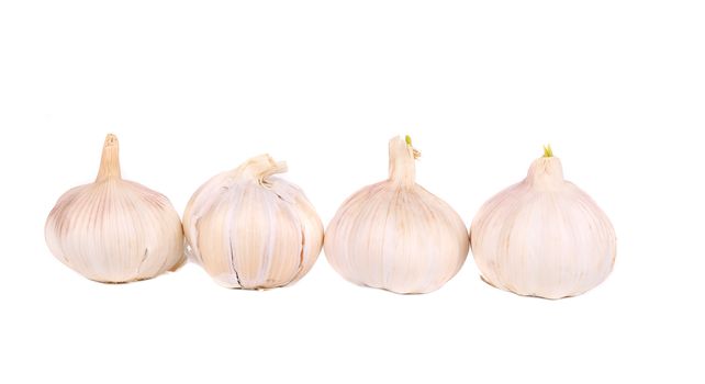 Garlic bulbs. Isolated on a white background.