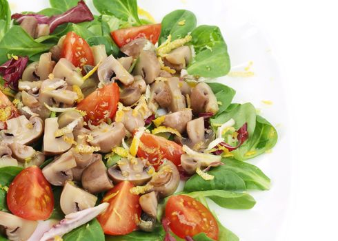 Mushroom salad with walnuts and tomatoes. Isolated on a white background.