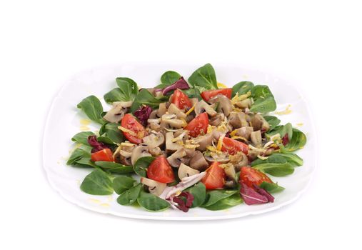 Mushroom salad with walnuts and tomatoes. Isolated on a white background.