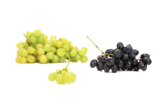 Ripe juicy grapes. Isolated on a white background.