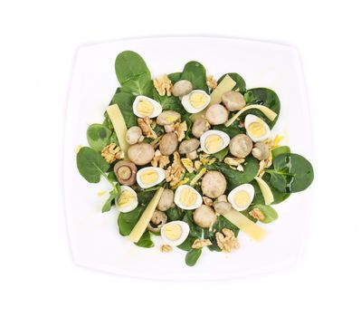 Mushroom salad with walnuts and parmesan. Isolated on a white background.