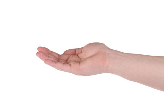 Open palm male hand gesture. Isolated on a white background.