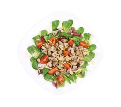 Mushroom salad with walnuts and tomatoes. Isolated on a white background.