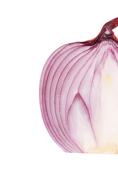 Red ripe onion. Isolated on a white background.
