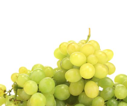 Ripe white grape. Isolated on a white background.