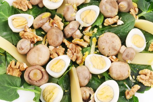 Mushroom salad with walnuts and parmesan. Isolated on a white background.