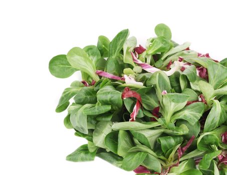 Spinach and radicchio rosso mix. Isolated on a white background.