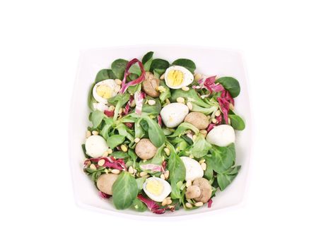 Mushroom salad with pine nuts and radicchio. Isolated on a white background.