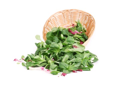 Spinach and radicchio rosso mix on wicker basket. Isolated on a white background.