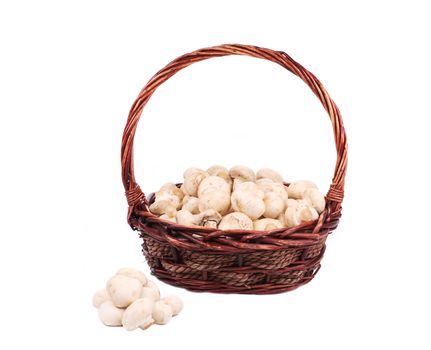 Wicker basket with champignon mushrooms. Isolated on a white background.