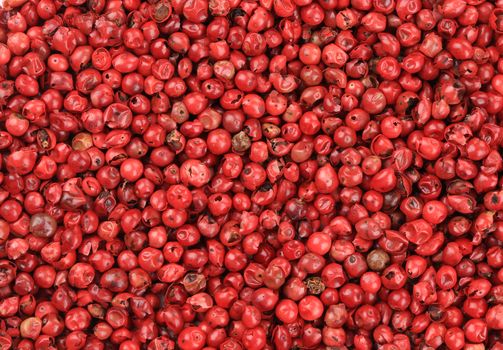 Red hot peppercorn closeup.