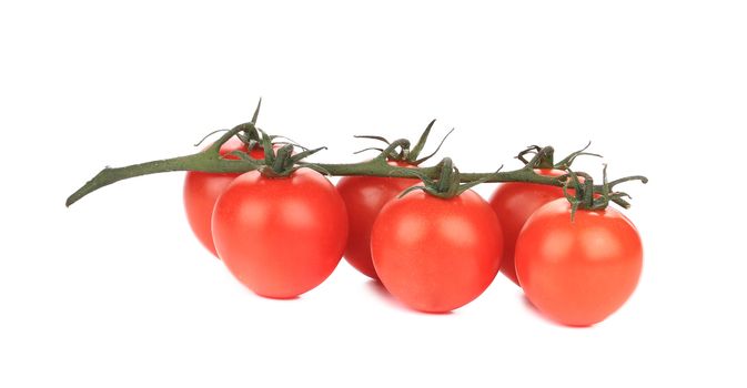 Bunch of tomatoes-cherry. Isolated on a white background.