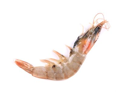 Fresh shrimp. Isolated on a white background.