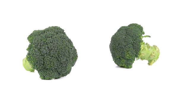 Two fresh broccoli pieces. Isolated on a white background.