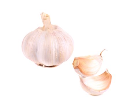 Head of garlic. Isolated on a white background.