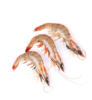 Three raw shrimps. Isolated on a white background.