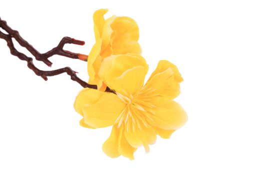 Beautiful yellow artificial flowers. Isolated on a white background.