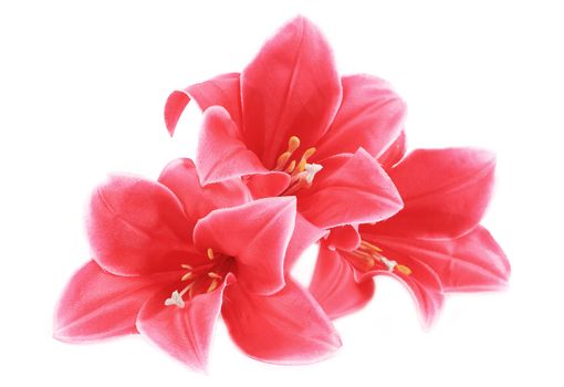 Beautiful pink artificial flowers. Isolated on a white background.