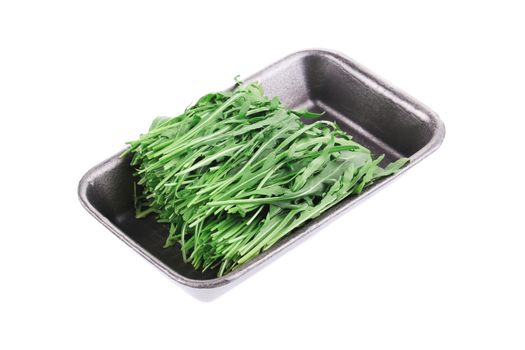 Fresh arugula in black plastic box. Isolated on a white background.