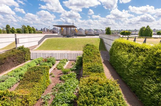 Waves of hedges in Thames Barrier Park, London