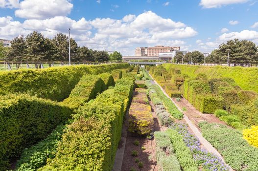 Waves of hedges in Thames Barrier Park, London