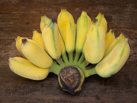 close up on cultivated banana