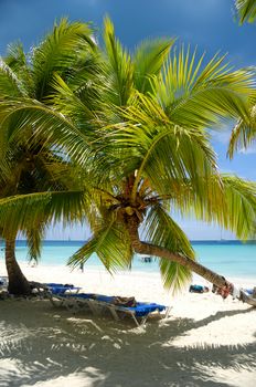 Paradise beach at Saona Island, Dominican Republic