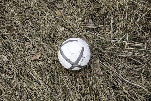 Lost toy, ball