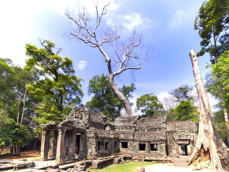 Prasat Ta Prum View. Siem Reap Province of Cambodia. Largest religious monument in the world.