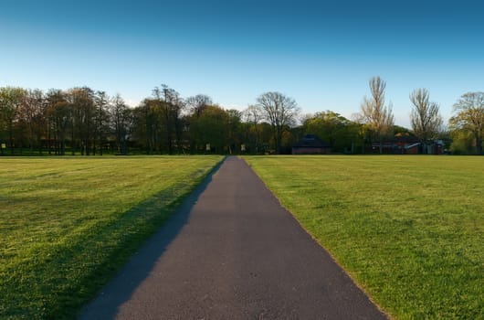 Alley  in the old park