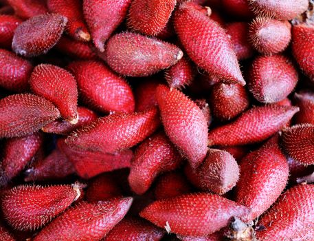 Snake fruit