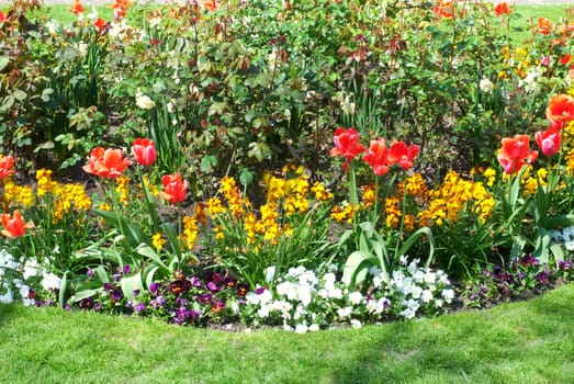 flower garden background