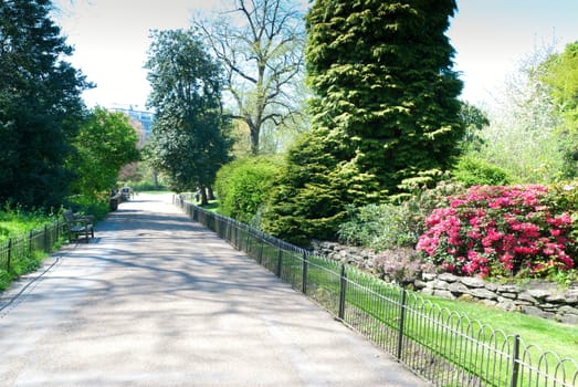 Garden in Park