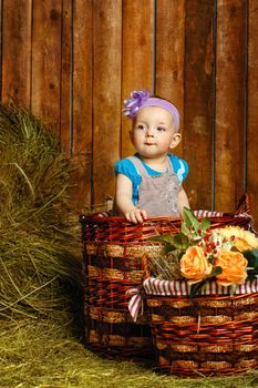 Little girl sitting in a wicker basket on a rustic barn background hay