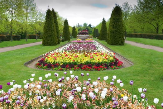 beautiful alley in the Park with exotic plants