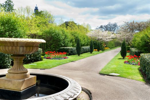 flowers in a park