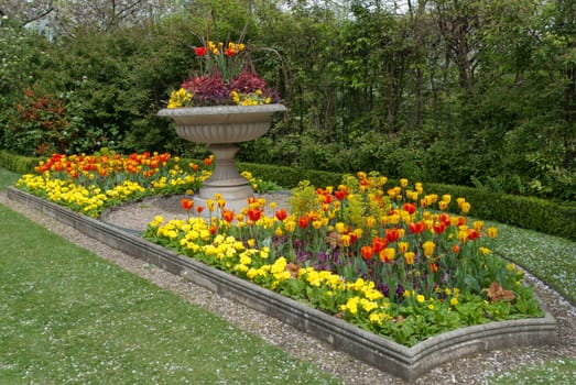 beautiful alley in the Park with exotic plants