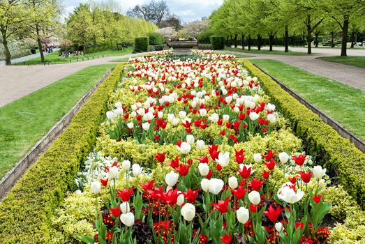 Spring flower alley in the park