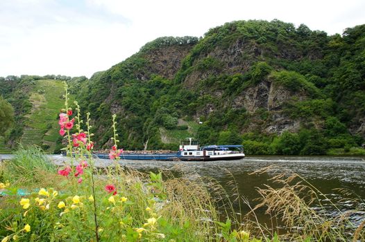 Scrap transport ship of the Moselle near Piesport