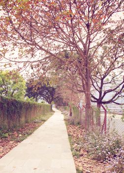 Way to the garden in autumn season with retro filter effect