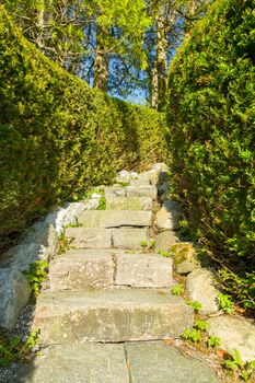 Picture of a stairway in stone, covered in hedges