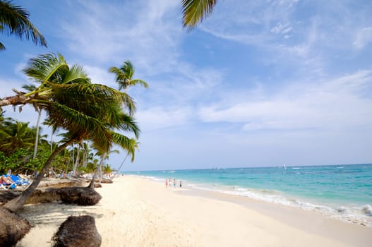Caribbean beach with palm and white sand with the coast in the background